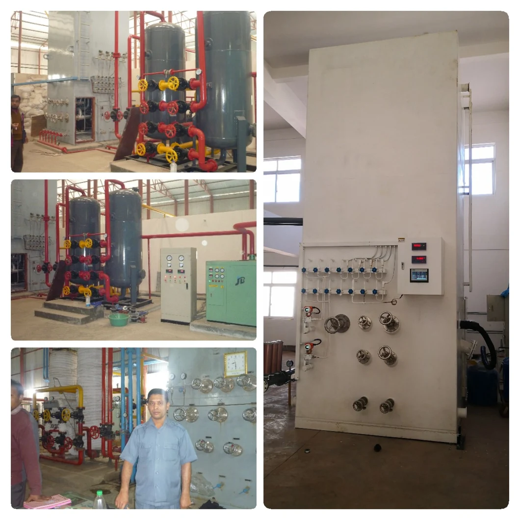 High Purity Gas Generation Equipment Psa Oxygen Generator Medical and Industry Use Oxygen Plant