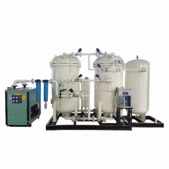 High Purity Gas Generation Equipment Psa Oxygen Generator Medical and Industry Use Oxygen Plant