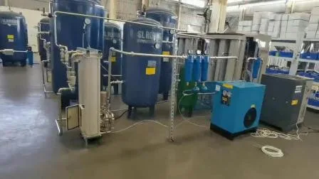 Small Wards Medical Gas Generator Psa Medical Oxigen Generator Machine Hospital Oxygen Gas Plant for Sale