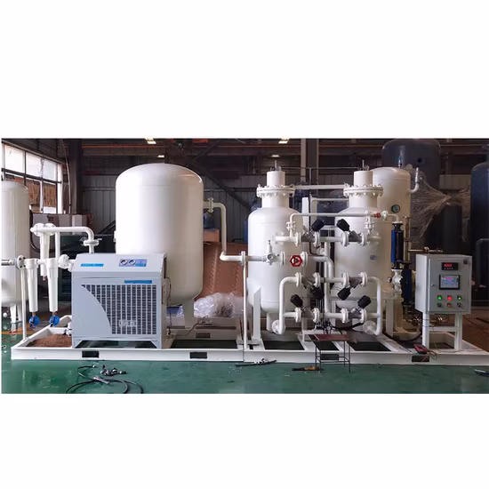 High Purity Gas Generation Equipment Psa Oxygen Generator Medical and Industry Use Oxygen Plant